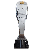 DB Insurance Annual Grand Prize